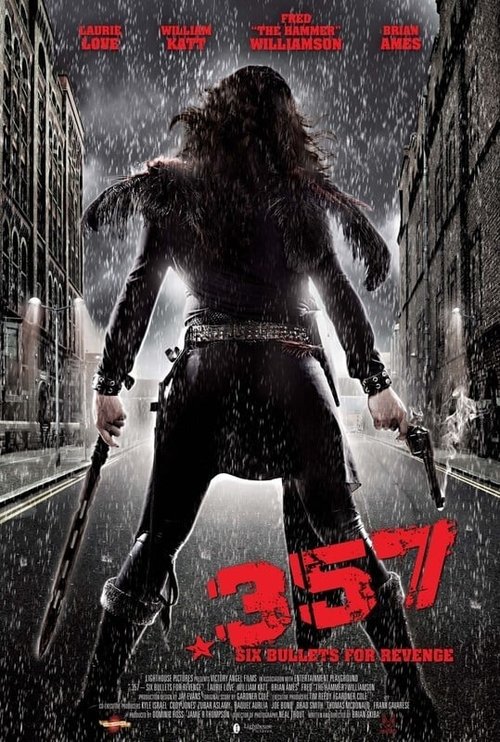 Promotional poster/image for .357