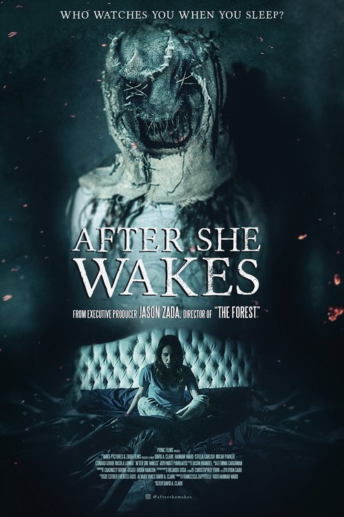 Promotional poster/image for After She Wakes