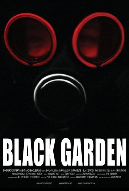 Promotional poster/image for Black Garden