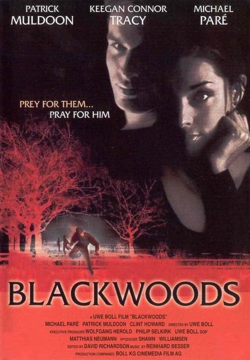 Promotional poster/image for Blackwoods