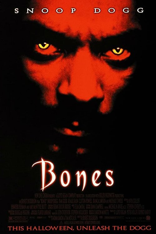 Promotional poster/image for Bones