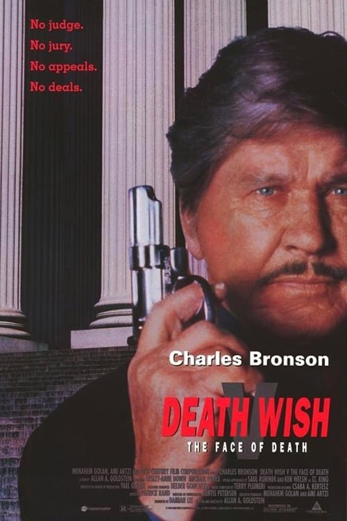 Promotional poster/image for Death Wish 5: The Face of Death