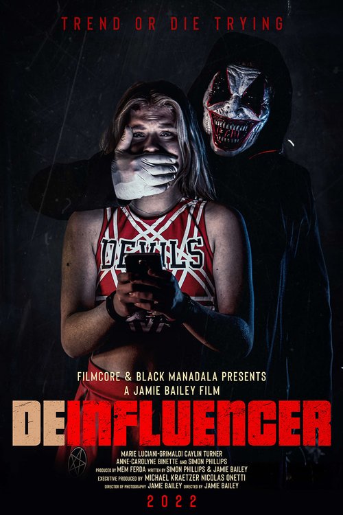 Promotional poster/image for Deinfluencer