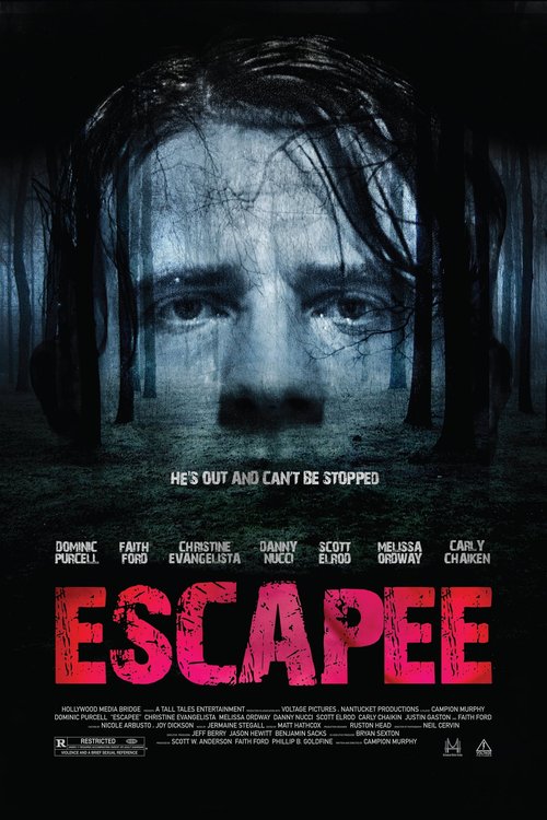 Promotional poster/image for Escapee