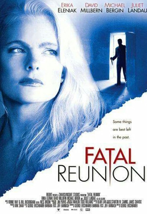 Promotional poster/image for Fatal Reunion