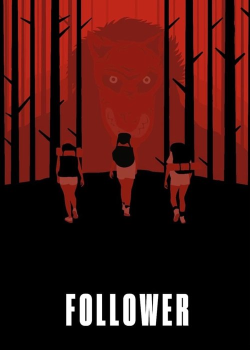 Promotional poster/image for Follower