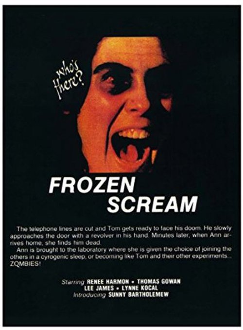 Promotional poster/image for Frozen Scream
