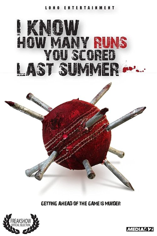 Promotional poster/image for I Know How Many Runs You Scored Last Summer
