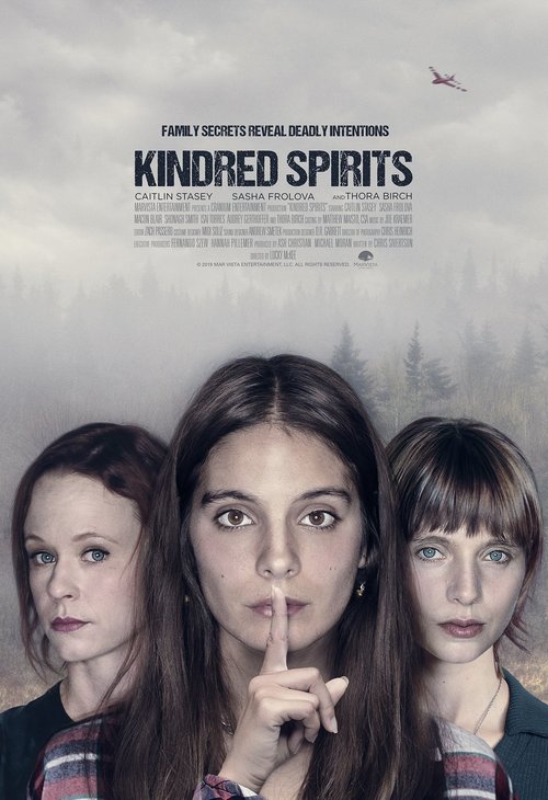 Promotional poster/image for Kindred Spirits