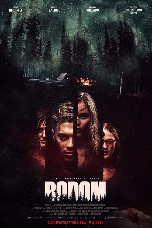 Promotional poster/image for Lake Bodom