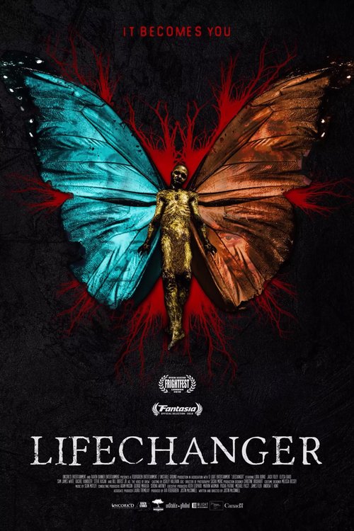 Promotional poster/image for Lifechanger
