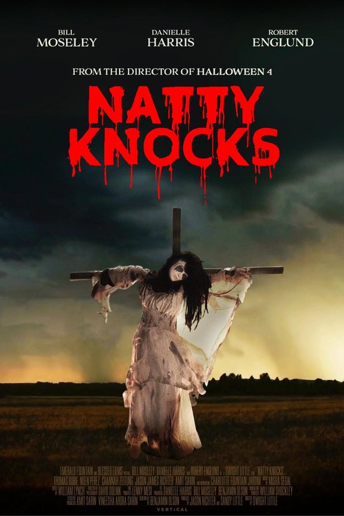 Promotional poster/image for Natty Knocks