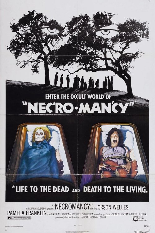 Promotional poster/image for Necromancy
