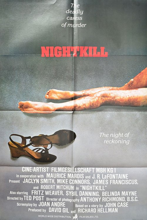 Promotional poster/image for Nightkill