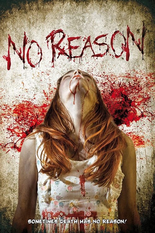 Promotional poster/image for No Reason