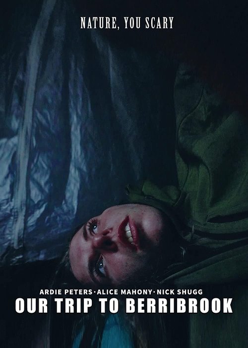 Promotional poster/image for Our Trip to Berribrook