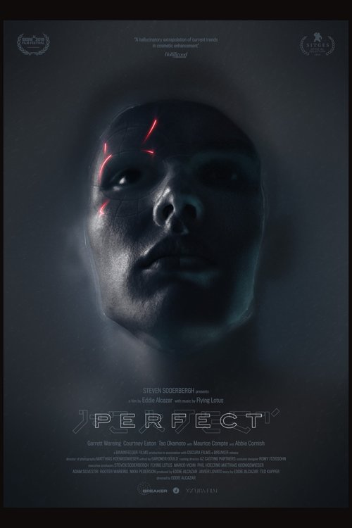 Promotional poster/image for Perfect