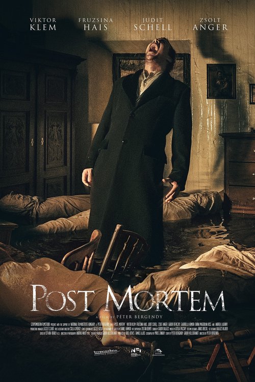 Promotional poster/image for Post Mortem