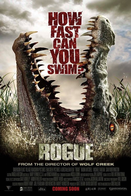 Promotional poster/image for Rogue