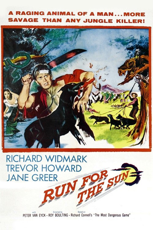 Promotional poster/image for Run for the Sun
