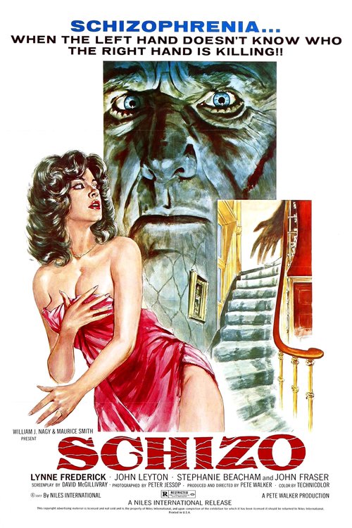 Promotional poster/image for Schizo