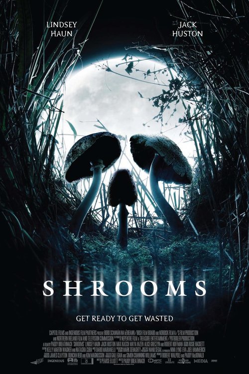 Promotional poster/image for Shrooms