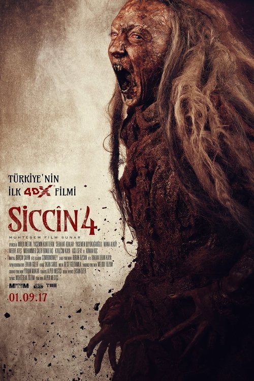 Promotional poster/image for Siccin 4