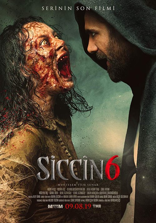 Promotional poster/image for Siccin 6