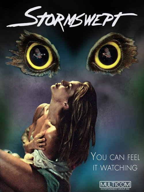 Promotional poster/image for Stormswept