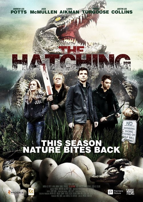 Promotional poster/image for The Hatching