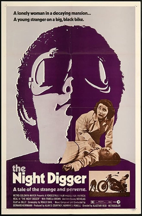 Promotional poster/image for The Night Digger