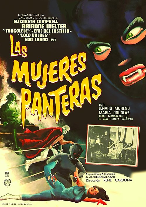 Promotional poster/image for The Panther Women