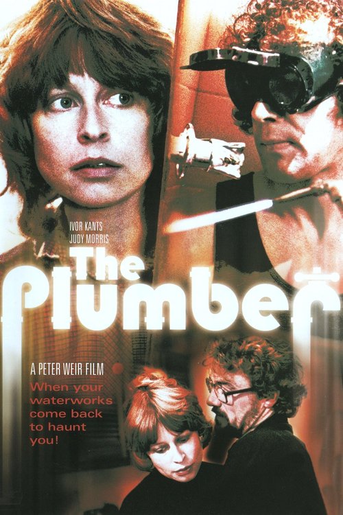 Promotional poster/image for The Plumber
