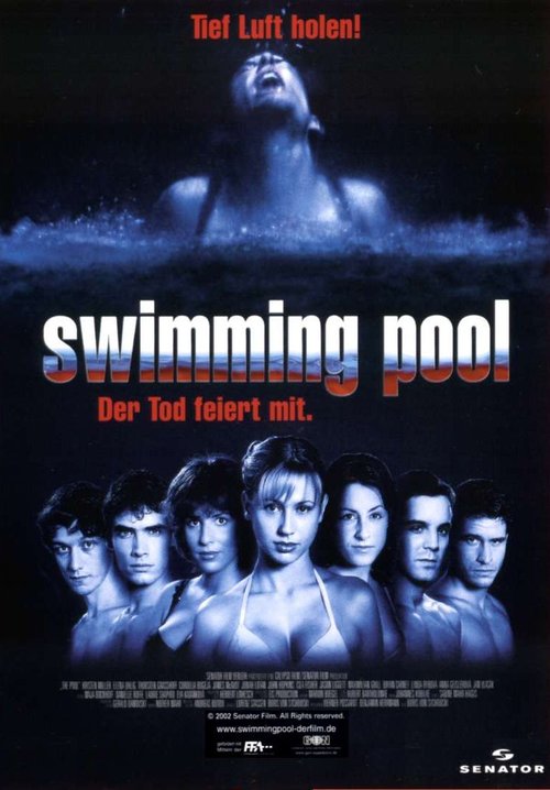 Promotional poster/image for The Pool