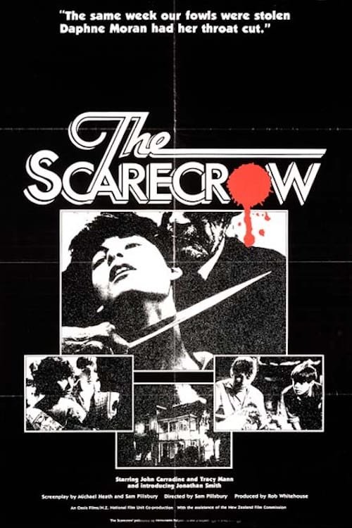 Promotional poster/image for The Scarecrow