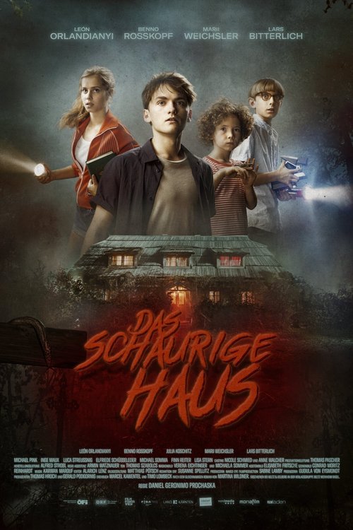 Promotional poster/image for The Scary House