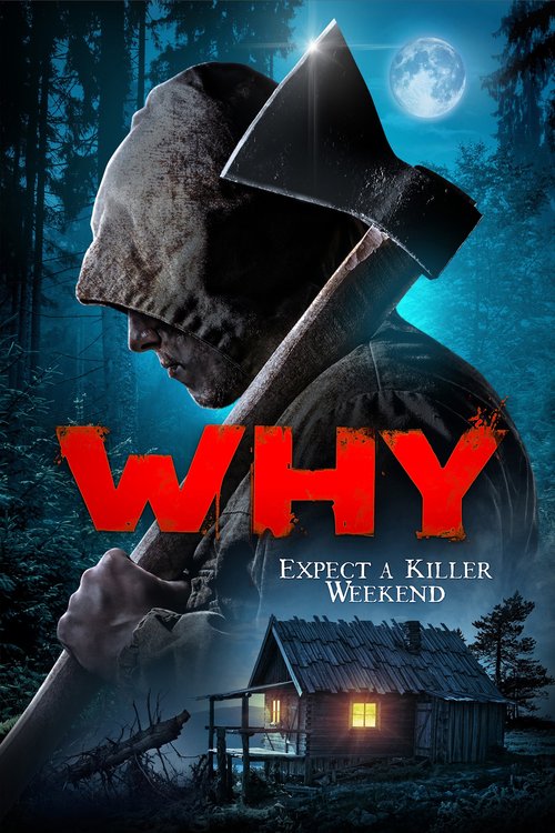 Promotional poster/image for Why?